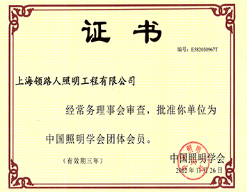 Member of China Illuminating Engineering Society （CIES）