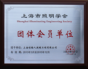 Member of Shanghai Illuminating Engineering Society